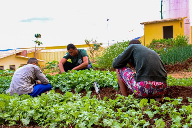 Programas de Reintegração Social